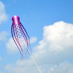 Large octopus - kite - inflatable - with line - 15m / 23m / 30mKites