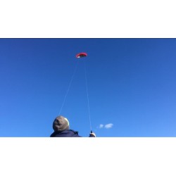SportZone - beach stunt kite - 2.5 meterKites